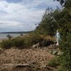 Pocztówka z Merentähti - sierpień 2021